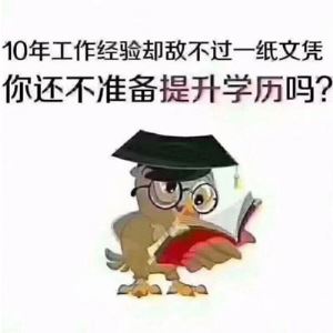 南阳2025年度卫生专业方面技术资格考试通知